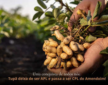 Selecione a Imagem 